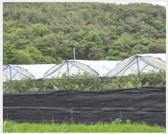  2025Ÿ7966  õ ȭ װ 431      ()