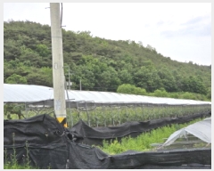  2025Ÿ7966  õ ȭ װ 431      ()