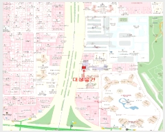  2025Ÿ��8043  ���ǽ��ڰ��