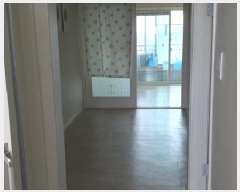  2025Ÿ8118    ȭ 1089 101 9908ȣ    Ʈ