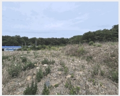  2025Ÿ��8129 ��� ĥ� ���� ���� 803-1      ����(�Ӿ�)���