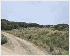  2025Ÿ��8129 ��� ĥ� ���� ���� 803-1      ����(�Ӿ�)���