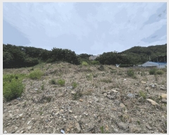  2025Ÿ��8129 ��� ĥ� ���� ���� 803-1      ����(�Ӿ�)���