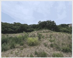  2025Ÿ��8129 ��� ĥ� ���� ���� 803-1      ����(�Ӿ�)���