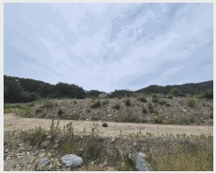  2025Ÿ��8129 ��� ĥ� ���� ���� 803-1      ����(�Ӿ�)���