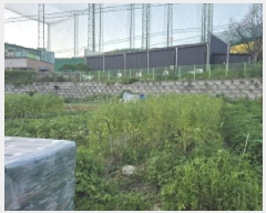  2025Ÿ��8263 �뱸 �ϱ� ������ 123-2       ����,â�����