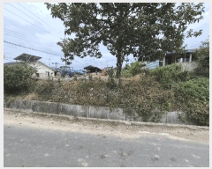 2025Ÿ��8528 ��� ��õ�� ȭ��� ��ȸ� 1014-2      ����(����)���