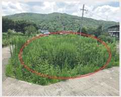  2025Ÿ��8542  ����