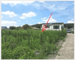  2025Ÿ��8542  ����