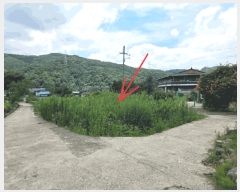  2025Ÿ��8542  ����