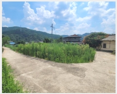  2025Ÿ��8542  ����