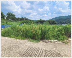  2025Ÿ��8542  ����