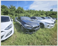  2025Ÿ��9313 �뱸 �ϱ� ��ȣ�� 416 ���丶Ʈ �뱸������     �������