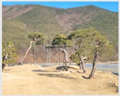  2025Ÿ68  û õ  758      (1)