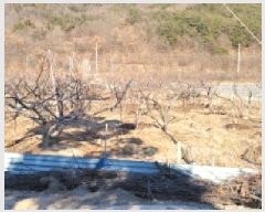  2025Ÿ68  û õ  758      (1)