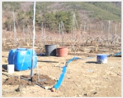  2025Ÿ��68 ��� û���� ��õ�� ������ 468      ����(��)���