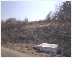  2025Ÿ��525  �Ӿ߰��