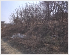  2025Ÿ��525  �Ӿ߰��