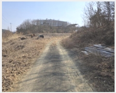  2025Ÿ��525  �Ӿ߰��