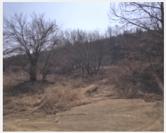  2025Ÿ��525  �Ӿ߰��