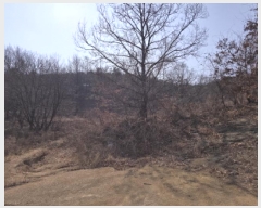  2025Ÿ��525  �Ӿ߰��