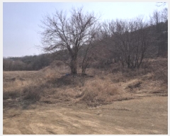  2025Ÿ��525  �Ӿ߰��