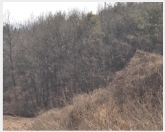  2025Ÿ��525  �Ӿ߰��