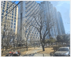  2025Ÿ569 뱸  λ굿 87-2 켾׶ 141409ȣ     ǽڰ