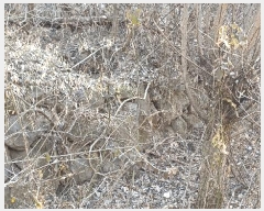  2025Ÿ��582 ��� ��õ�� ��â�� ��� 1115      ����(��)���