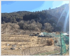  2025Ÿ��582 ��� ��õ�� ��â�� ��� 1115      ����(��)���