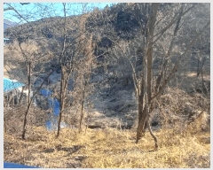  2025Ÿ��582 ��� ��õ�� ��â�� ��� 1115      ����(��)���