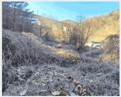  2025Ÿ��582 ��� ��õ�� ��â�� ��� 1115      ����(��)���