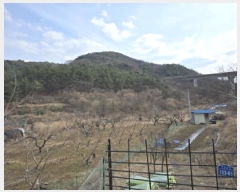  2025Ÿ��582 ��� ��õ�� ��â�� ��� 1115      ����(��)���