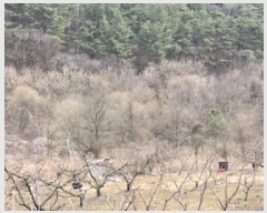  2025Ÿ��582 ��� ��õ�� ��â�� ��� 1115      ����(��)���