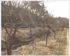  2025Ÿ��592  �����