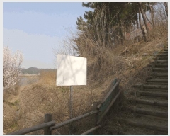  2025Ÿ��592  �����