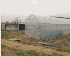  2025Ÿ��592  �����