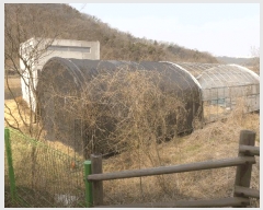  2025Ÿ��592  �����