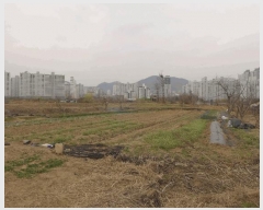  2025Ÿ��592  �����