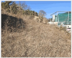  2025Ÿ��601 �뱸 ���� ������ 949       ����(����)���