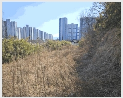  2025Ÿ��601 �뱸 ���� ������ 949       ����(����)���