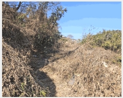  2025Ÿ��601 �뱸 ���� ������ 949       ����(����)���