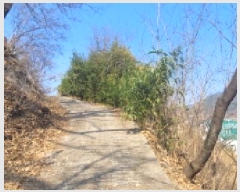  2025Ÿ��601 �뱸 ���� ������ 949       ����(����)���