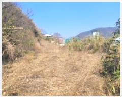  2025Ÿ��601 �뱸 ���� ������ 949       ����(����)���