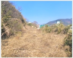  2025Ÿ��601 �뱸 ���� ������ 949       ����(����)���