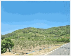  2025Ÿ��732  �Ӿ߰��