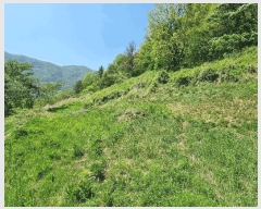  2025Ÿ��732  �Ӿ߰��