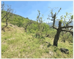  2025Ÿ��732  �Ӿ߰��