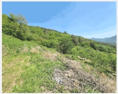  2025Ÿ��732  �Ӿ߰��