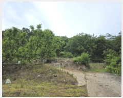  2025Ÿ��732  �Ӿ߰��